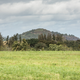 Much of Zuckerberg’s property is a former sugarcane plantation that is now grazed by cattle.